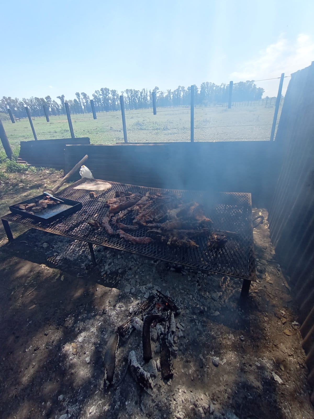 WhatsApp Image 2025-10-11 at 18.58.55.jpeg